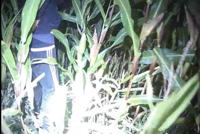 Two suspected thieves were found hiding in a farmer’s field by torch-carrying officers