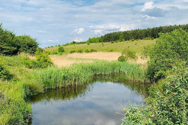 Sookholme Ponds is on Longster Lane and is a popular fishing spot. It also serves a great walking trail with plenty of woodland to explore. Contact Martin Wilkinson by calling 01623 744095 for more information about fishing on the site.