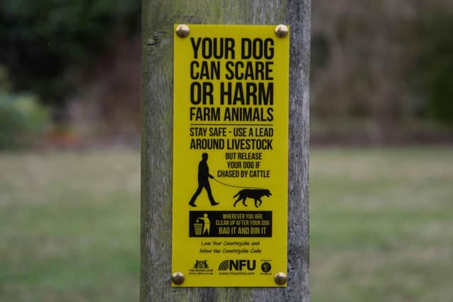 Dog walking sign