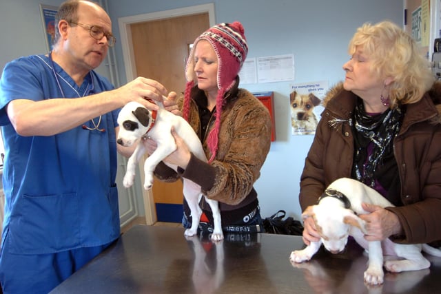 Vet Ian Neville examines puppies Damian and Saphire with owners Olivia Burton and Beverley Edwardson  at the PDSA Hospital at Attercliffe in 2009