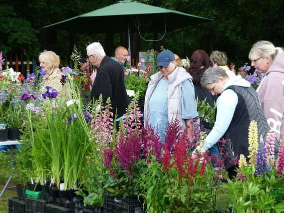 Summer Plant Hunters' Fair at Thoresby Park