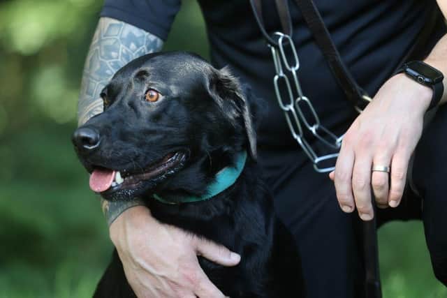 Drugs including cocaine and cannabis were taken off the streets after police sniffer dog was bought in to patrol Mansfield town centre.
