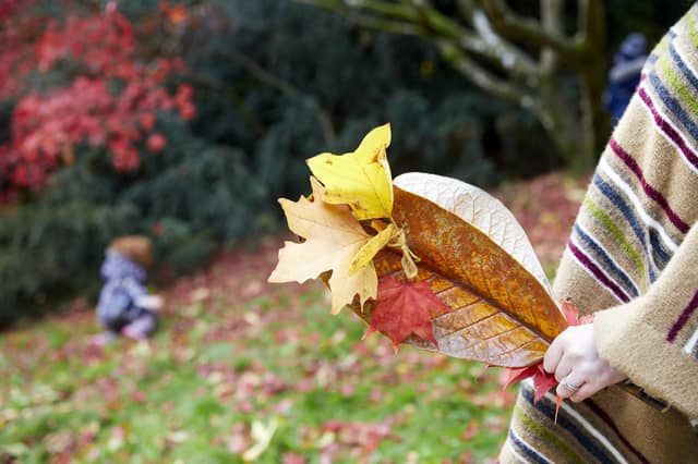 Make the most of a free National Trust day out over winter