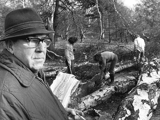 Trees were ripped from their roots with wind speeds reaching more than 70mph