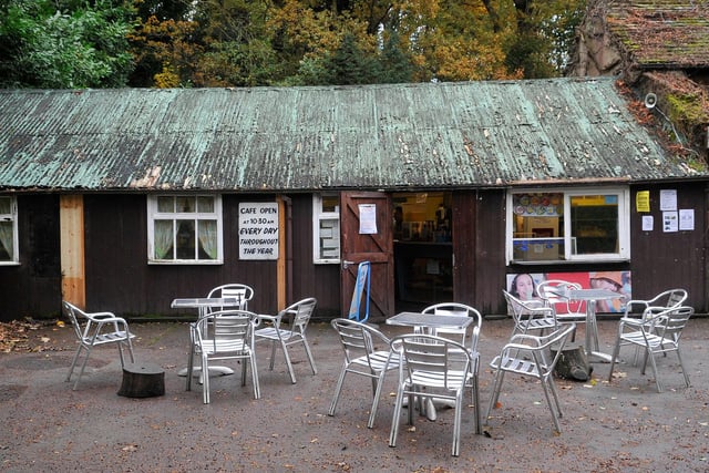 The walk from Endcliffe Park to Forge Dam is a picturesque stroll through woodland and places to paddle with wildlife to spot along the way. And at the end of it there is the Forge Dam Café, namechecked in the Pulp song Wickerman.