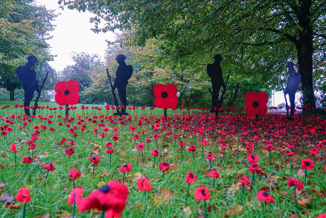 The display features 750 handmade crochet poppies.