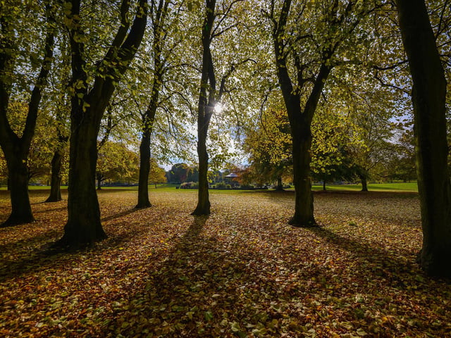 Autumnal Mansfield