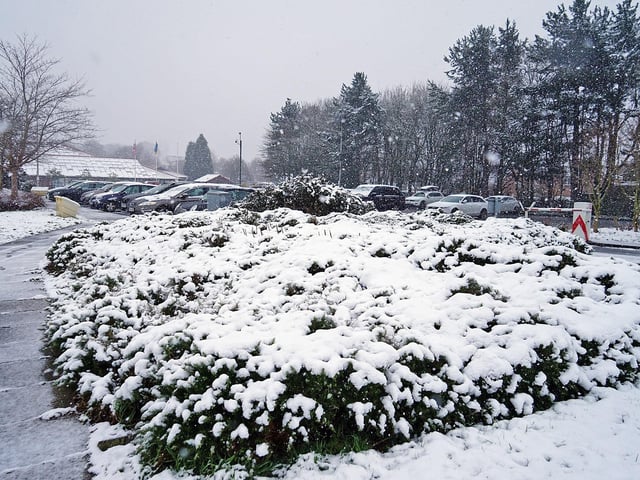 Mansfield in the snow