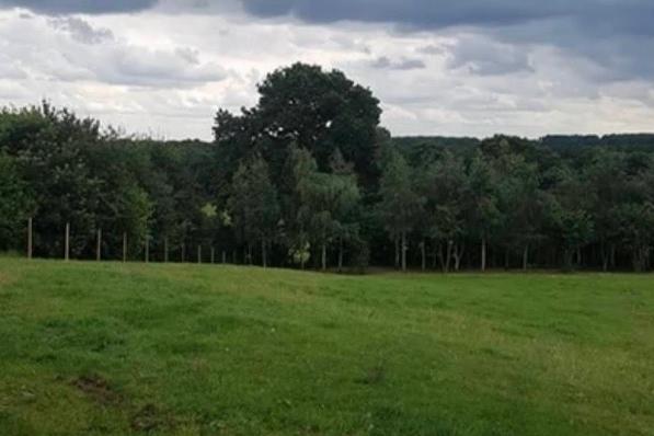 K9 Playtime Doggy Day Care, Robert Thomas Farms, Haywood Oaks Ln, Blidworth, Mansfield NG21 0PE: Was given 5 stars out of 33 reviews on Google.