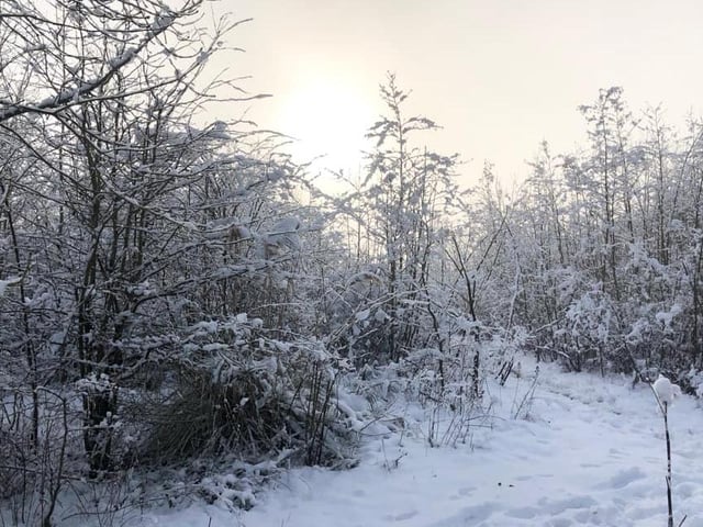 Warmsworth in the snow. Taken by Lisa Lund.