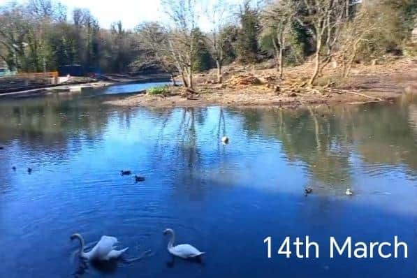 Pictures taken on March 14 after the pond had refilled