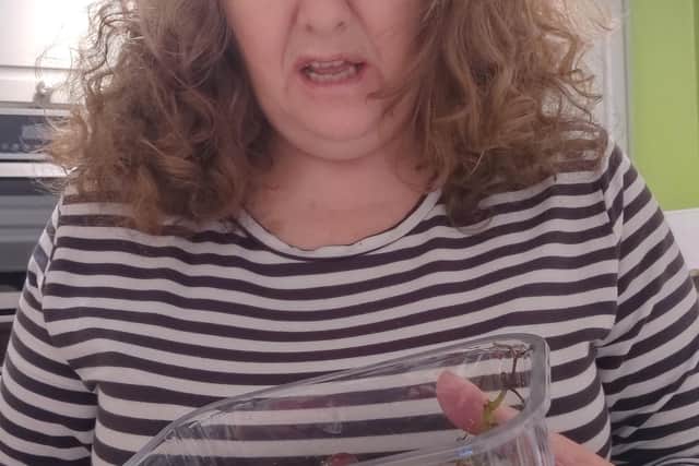 Horror! Karen relives the moment she spotted the spider in a tub of grapes!