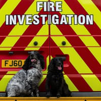 Nottinghamshire fire investigation pups named top dogs at prestigious award ceremony