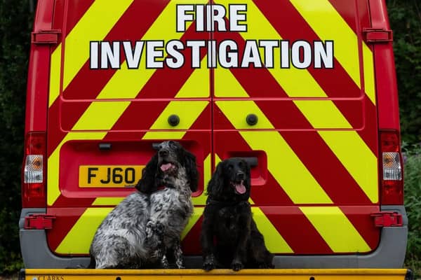 Fire Investigation Dogs Ginny and Barney, alongside their handlers, have been named winners of the Special Team Award at the UK Service Dogs Awards 2026.