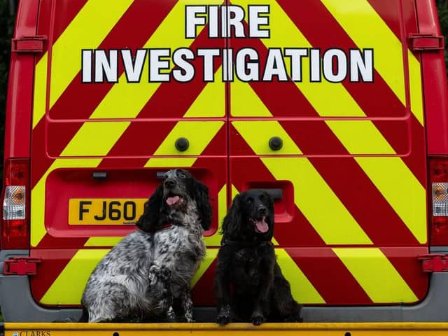Fire Investigation Dogs Ginny and Barney, alongside their handlers, have been named winners of the Special Team Award at the UK Service Dogs Awards 2026.