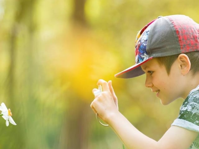 The Sherwood Forest Visitor Centre at Edwinstowe hosts an Easter trail for the whole family this weekend. As you guide yourself through the trees, crack the clues and link the giant eggs to find the birds that have laid them. Look out too for the Easter bunnies with their brightly coloured tails.