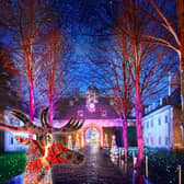 Christmas At Belton returning to dazzle visitors at Belton House, near Grantham, in Lincolnshire, selective dates from November 27 to January 3.