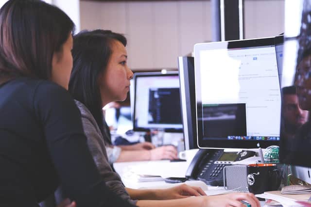 Study and trainee opportunities