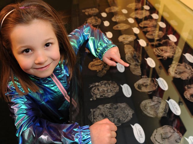 Amber Lewis, 7, from the Farmilo Primary School finds her Selfie on show at the This is Me, This is Mansfield intergenerational arts exhibition at Mansfield Museum in 2018.