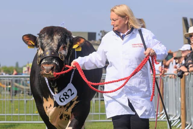 Nottinghamshire County Show 2024
