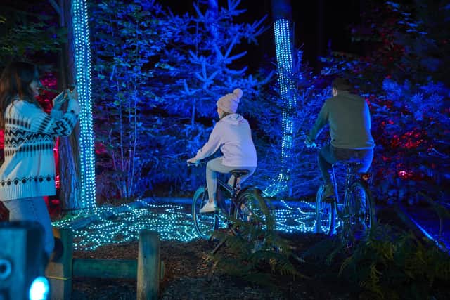 Center Parcs launched its Winter Forest Lights breaks last week, following a £1m investment to bring new installations and activities to Sherwood Forest.
