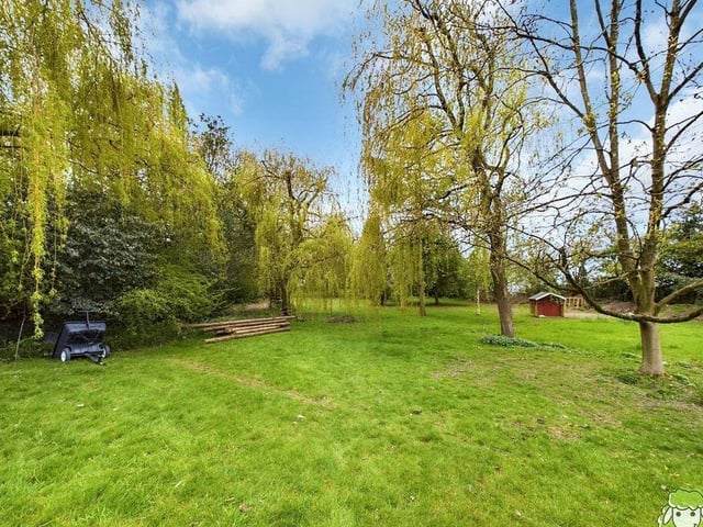 The delightful back garden contains a wooded area with mature trees.