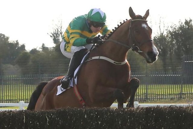 Tim Forster Racing Our expert's pinstickers' guide to all the Grand National runners at ...