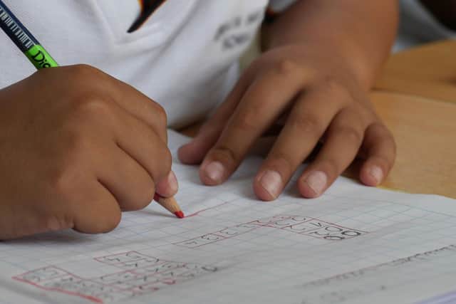 Fewer Nottinghamshire schools are offering tutoring due to Government funding cuts. Photo: Other