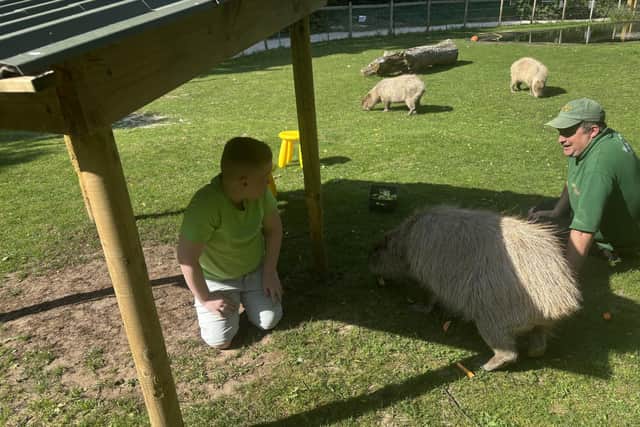 Capybaras survive on fruit, veg, hay and grass and can live up to 22 years of age.