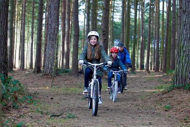 If you fancy getting active this weekend, why not try the Ancient Sherwood Cycle Route, or at least part of it? The circular 20-mile route starts at the Sherwood Forest Art and Craft Centre in Edwinstowe and stretches through the woodland of the forest on to Clumber Park before returning the same way. There are plenty of stop-offs for refreshments and activities.