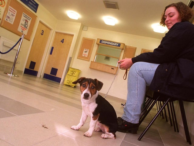 Waiting for the vet at the new PDSA centre, Newhall Road, Sheffield back in 1998