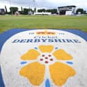 Derbyshire are up against after a bad opening day against Essex. (Photo by Tony Marshall/Getty Images)