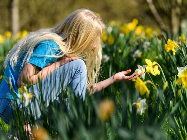 Spring time. Photo by Joe Maher/Getty Images.