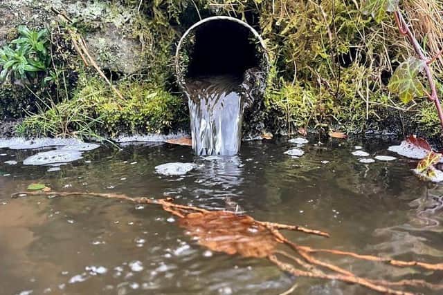 Is the water at Hermitage Ponds next to King's Mill Reservoir in Sutton being contaminated by rogue discharges?