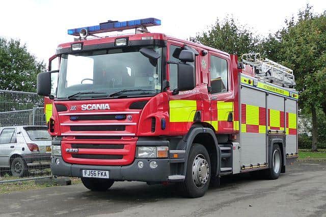 Firefighters were called out hundreds of times to rescue animals