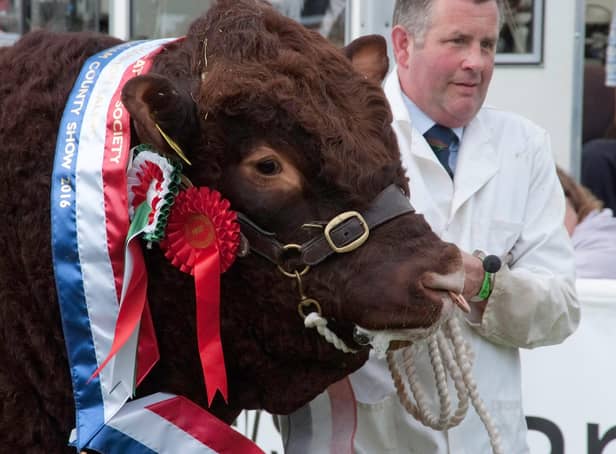 The Nottinghamshire County Show is back this year