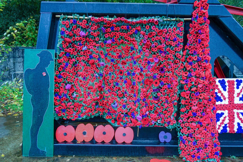 Thousands of handmade poppies were donated by the community for the display.