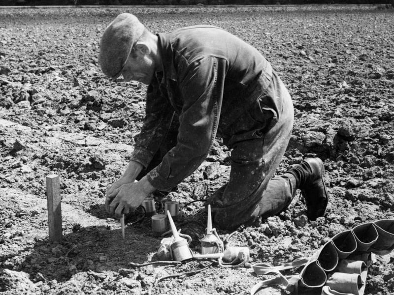 An oil company worker planting geophones, instruments which record the reflected 'earthquake' waves, during shot hole firing by survey teams of the D'Arcy Exploration Company, who were drilling for oil in Nottinghamshire.