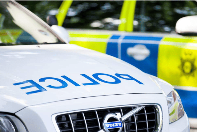 Skeletal remains have been discovered in woods near Mansfield.