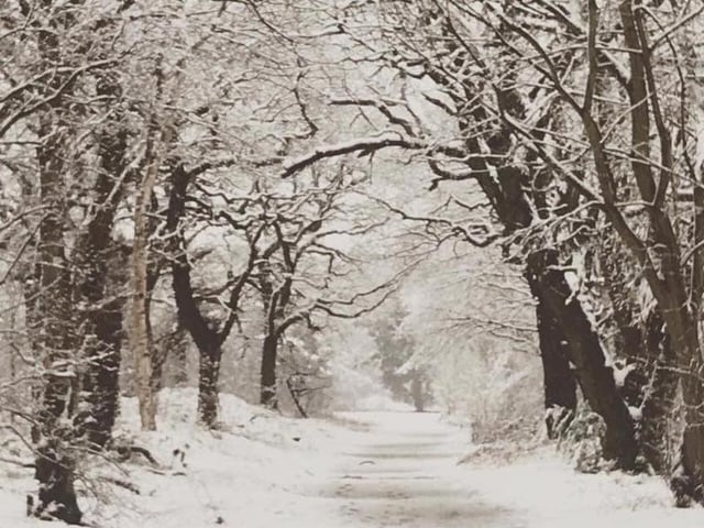 Rossington Golf Links. Taken by Samantha Clark.