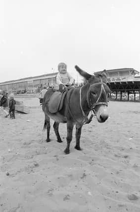 No trip to the seaside is complete without a donkey ride!