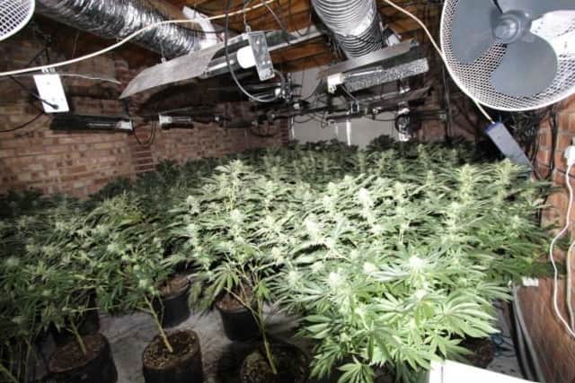 Cannabis plants discovered in a house in Mansfield.