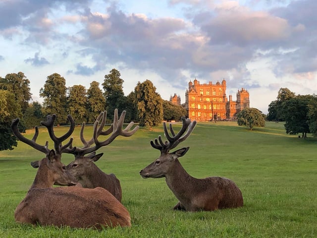 Wollaton Hall, in Wollaton Park, will invite residents to partake in a ghost investigation this October with some spooky specialists. Those interested in the event can join Haunted Heritage on October 28 from 8pm to explore one of the county's most haunted sites. Tickets are £45 and for additional information about the event, please see hauntedheritage.co.uk/event/nottingham-ghost-investigation-wollaton-hall-halloween-weekend/