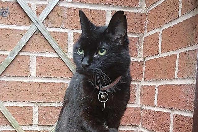 Danielle Johnson from Mansfield shared this photo of her 'pretty girl', Willow.