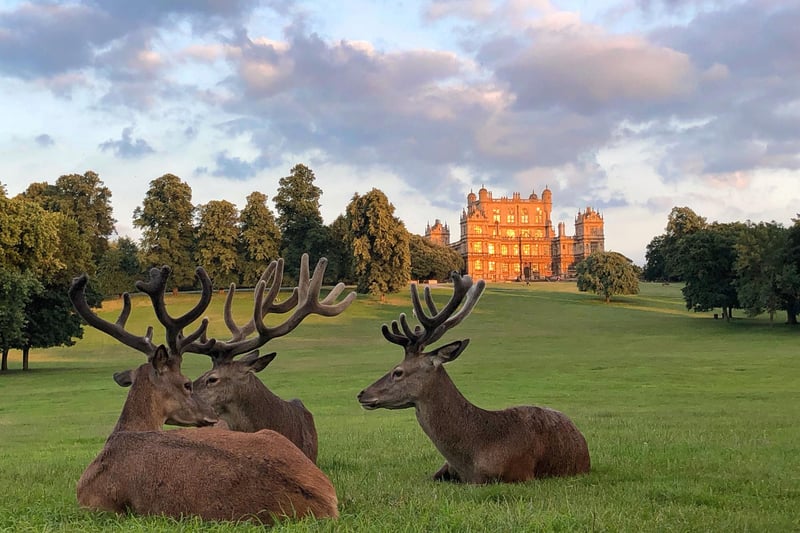 Wollaton Hall, in Wollaton Park, Nottingham is one of many beautiful landmarks in the county. The house is now Nottingham Natural History Museum, with Nottingham Industrial Museum in the outbuilding.