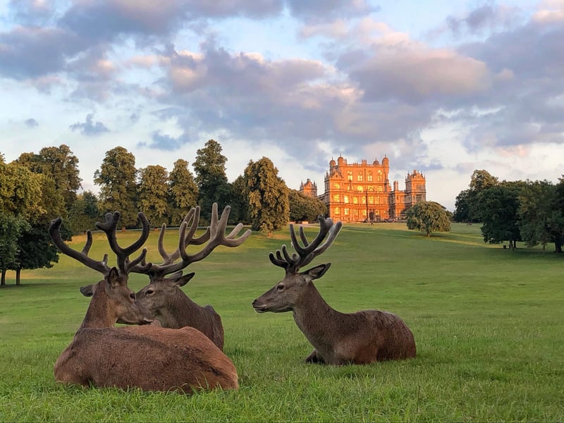 Wollaton Hall, in Wollaton Park, Nottingham is one of many beautiful landmarks in the county. The house is now Nottingham Natural History Museum, with Nottingham Industrial Museum in the outbuilding.
