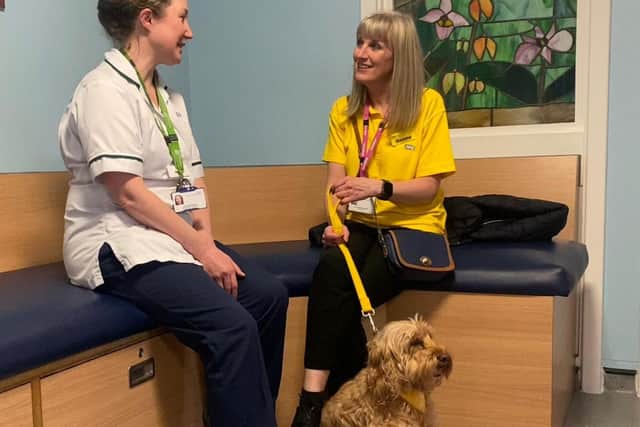 Left to right, Ann Woodhouse, Occupational Therapist, with Donna Winfield-Stanesby, Care Dog Volunte