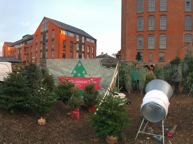The Christmas Tree Company, The Poplars, Beeston, is a short drive across the county but they supply festive real trees for the season. See more at: www.thechristmastreecompany.com