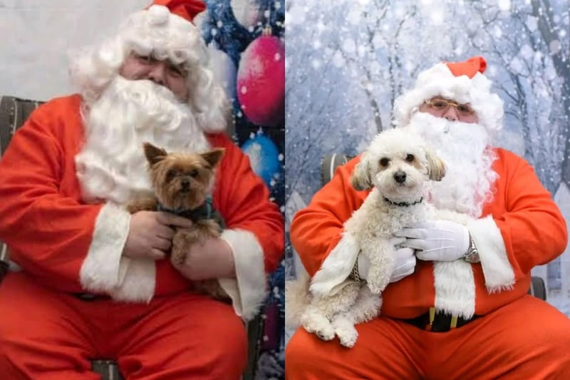 James said: "I put my two together. Sparkle on the left was taken in 2021 - only reason is cause we lost her just after Christmas last year. Then there is Teddy on right from last year."