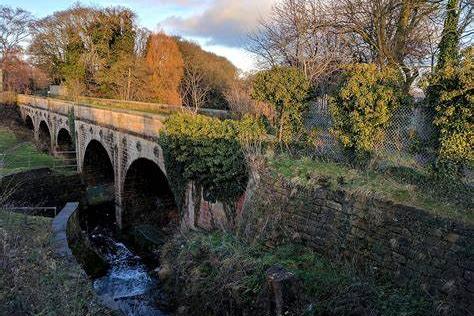 King's Mill Viaduct, a grade II listed structure, dating back to 1817, is one of the highlights of a visit to The Hermitage, the latest local nature reserve in Mansfield to come under our spotlight. The site is dominated by the disused millpond of Hermitage Mill, which is surrounded by woodland. A total of 42 species of bird, from kingfisher to bullfinch, have been recorded.